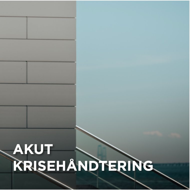 Akut krisehndtering for professionelle