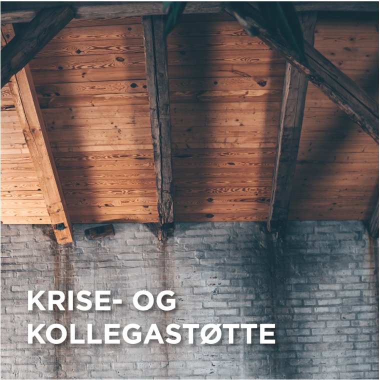 Krise- og Kollegasttte