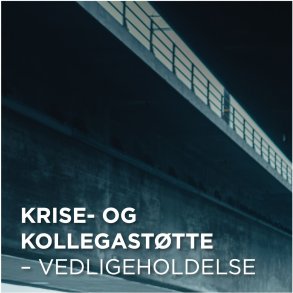 Krise- og Kollegast�tte - Vedligeholdelse
