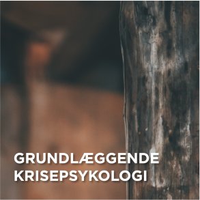 Grundl�ggende Krisepsykologi
